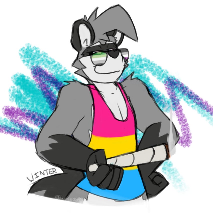 anthro aromantic_pride_colors asexual_pride_colors black_body black_fur clothing drugs eyewear fur grey_body grey_fur lgbt_pride male marijuana marijuana_blunt multicolored_clothing multicolored_eyewear multicolored_shirt multicolored_sunglasses multicolored_tank_top multicolored_topwear pansexual_pride_colors pride_color_accessory pride_color_clothing pride_color_eyewear pride_color_shirt pride_color_sunglasses pride_color_tank_top pride_color_topwear pride_colors shirt simple_background solo sunglasses tank_top topwear white_body white_fur wintermadness solo_jazz_pattern travis_(winter) mammal procyonid raccoon 1:1 2023 hi_res meme