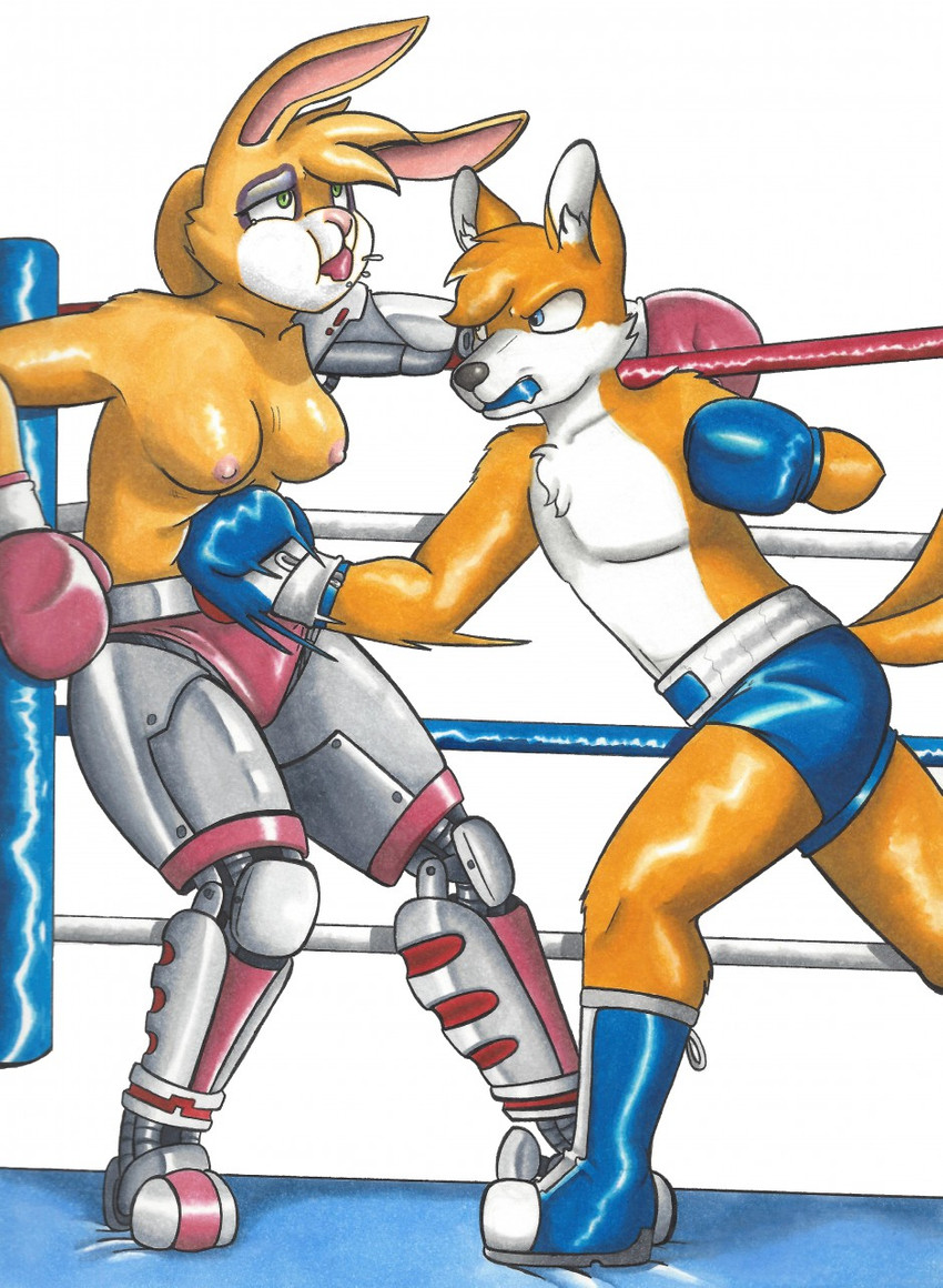 2_tails anthro bangs black_eye_(injury) black_nose blue_boots blue_clothing blue_eyes blue_footwear boots boxing boxing_gloves boxing_shorts bruised clothed clothing determined duo female fighting_ring footwear fur green_eyes gut_punch handwear male mouthguard multi_tail nipples pink_nose prosthetic prosthetic_arm prosthetic_leg prosthetic_limb punch shoes simple_background sport tail thong topless turnbuckle underwear white_body white_fur yellow_body yellow_fur dcheese archie_comics sega sonic_the_hedgehog_(archie) sonic_the_hedgehog_(comics) sonic_the_hedgehog_(series) bunnie_rabbot miles_prower canid canine fox lagomorph leporid mammal rabbit 2018 hi_res traditional_media_(artwork)