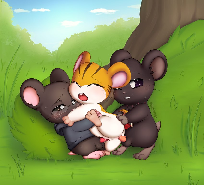 fan character and sandy (hamtaro (series)) created by apinkgrape