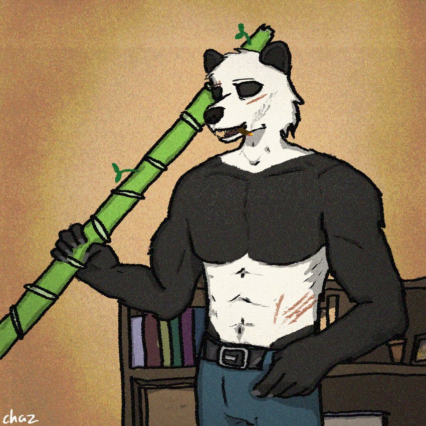 anthro biped male solo chazthewolf beastars gouhin_(beastars) bear giant_panda mammal 1:1