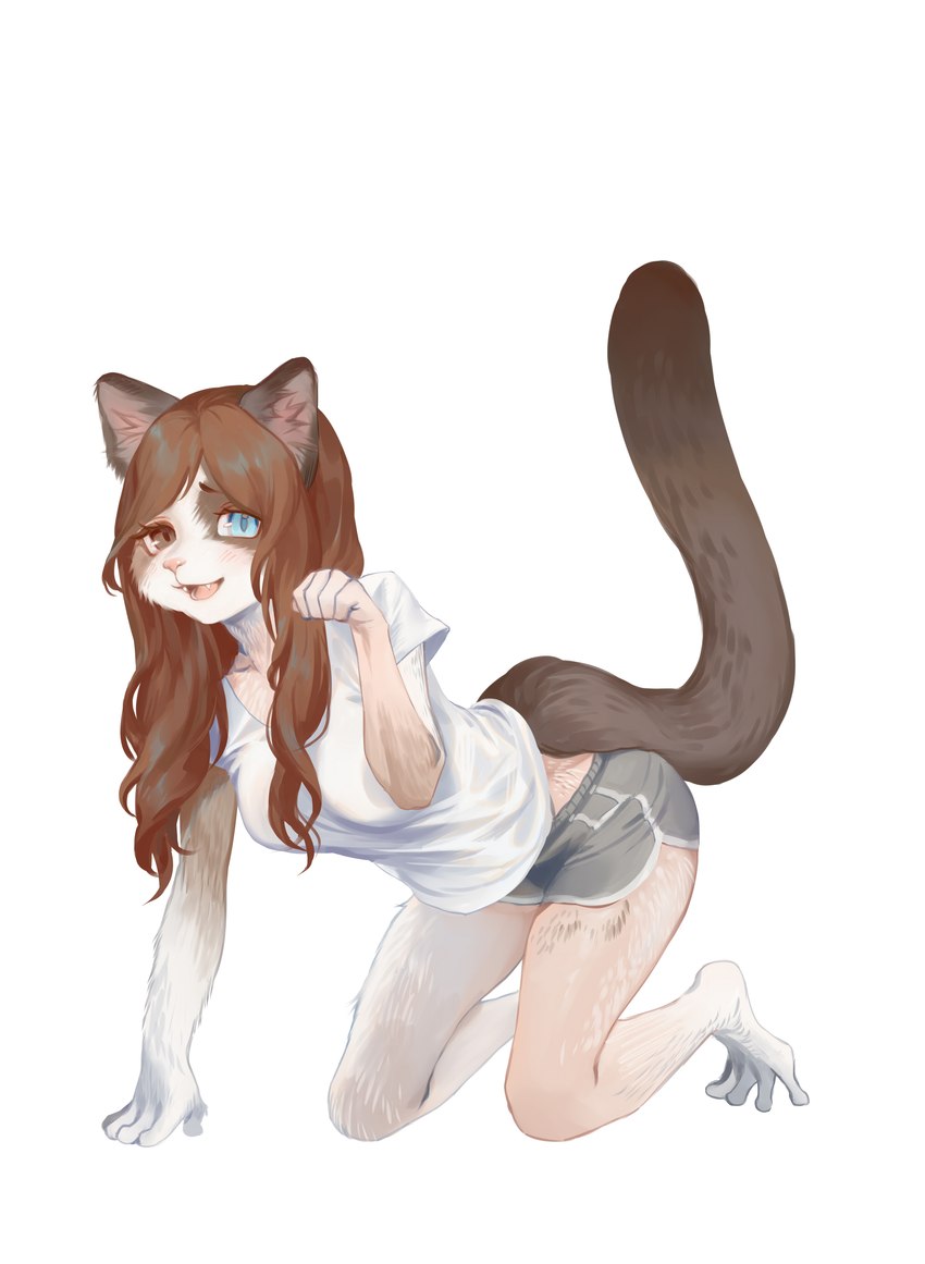 all_fours barefoot blue_eyes bottomwear breasts brown_eyes brown_hair clothing feet female hair human_to_anthro looking_at_viewer shirt shorts simple_background smile solo species_transformation tail topwear transformation white_background white_clothing white_shirt white_topwear ora_ozen domestic_cat felid feline felis human mammal 2024 absurd_res digital_media_(artwork) hi_res