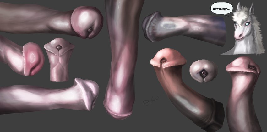 anatomically_correct anatomically_correct_genitalia anatomically_correct_penis animal_genitalia animal_penis anthro big_flare big_penis big_unflared_glans black_penis brown_penis ears_up equine_genitalia equine_penis erection feral flared_penis genitals glans hair huge_penis looking_at_viewer male medial_ring partially_flared penis pink_penis purple_penis simple_background solo text unflared urethra white_penis hazed01 hasbro my_little_pony unnamed_character asinus donkey earth_pony equid equine horse mammal pony 2025 absurd_res black_and_white colored digital_drawing_(artwork) digital_media_(artwork) english_text hi_res model_sheet monochrome portrait shaded signature widescreen