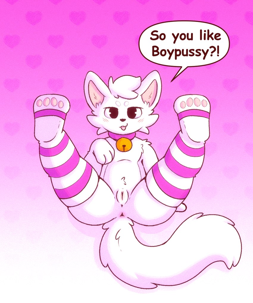 andromorph anthro anus bell bell_collar blush blush_lines clothing collar facial_tuft fur genitals intersex legs_up legwear looking_at_viewer pawpads pussy simple_background solo speech_bubble spread_legs spreading talking_to_viewer thigh_highs tuft white_body white_fur wolfyzeeb boy_kisser_(meme) programming_socks silly_cat_(mauzymice) felid feline mammal 5:6 hi_res meme