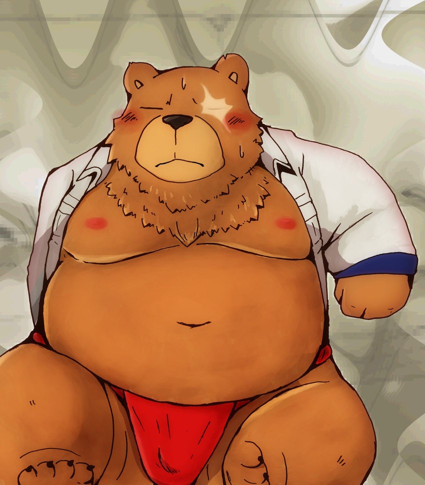 anthro asian_clothing belly big_belly black_nose blush bulge clothing east_asian_clothing eyes_closed fundoshi japanese_clothing kemono male moobs navel nipples overweight overweight_male red_clothing red_fundoshi red_underwear scar solo underwear snow_utamaru mihoyo zenless_zone_zero ben_bigger bear mammal 2024 hi_res