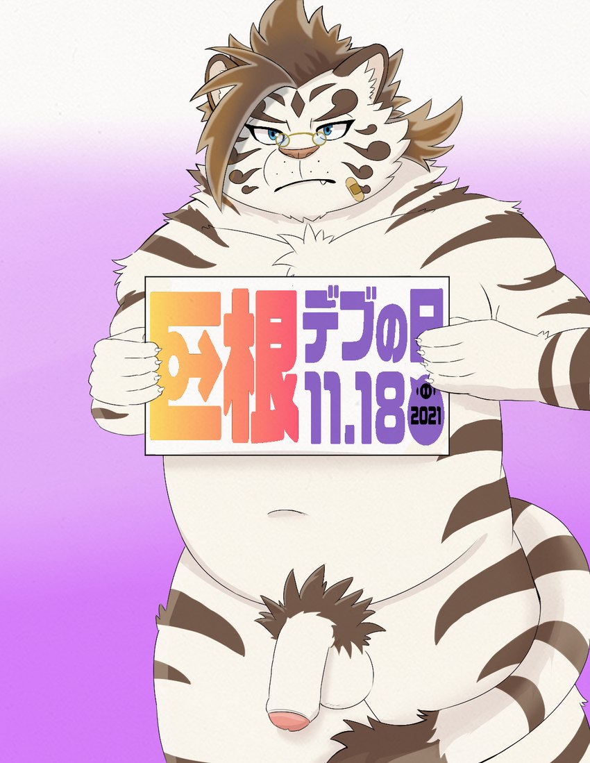 anthro balls band-aid bandage belly eyewear genitals glasses humanoid_genitalia humanoid_hands humanoid_penis kemono male navel overweight overweight_male penis solo text white_body inugami1837 big_dick_day lifewonders tokyo_afterschool_summoners licho_(tas) felid mammal pantherine tiger 2021 hi_res japanese_text