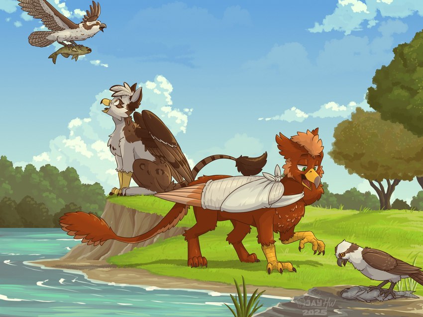 3_toes 4_toes anisodactyl ankle_tuft arm_tuft beak blue_sky brown_body brown_claws brown_eyebrows brown_feathers cheek_tuft chest_tuft claws countershade_tail countershade_torso countershading deciduous_tree detailed_background dipstick_tail duo elbow_tuft eye_markings eyebrows facial_tuft fauxhawk feathers feet feral flying folded_wings grass green_eyes grey_beak grey_scutes half-closed_eyes knee_tuft leg_markings leg_tuft logo looking_at_another male markings medical_sling multicolored_beak narrowed_eyes one_eye_obstructed open_beak open_mouth orange_body orange_eyebrows orange_feathers outside outstretched_wings plant quadruped red_tongue scutes sitting sky socks_(marking) speckled_body spots spotted_markings striped_feathers striped_markings striped_tail stripes tail tail_markings tail_tuft tan_body tan_feathers toes tongue tree tuft two_tone_beak water white_body white_claws white_cloud white_feathers wings yellow_beak yellow_eyes yellow_sclera yellow_scutes sammfeatblueheart mythology ospreay_(ospreaygryphon) pavlos_andriades accipitriform avian bird fish gryphon marine mythological_avian mythological_creature osprey 2025 artist_logo hi_res signature