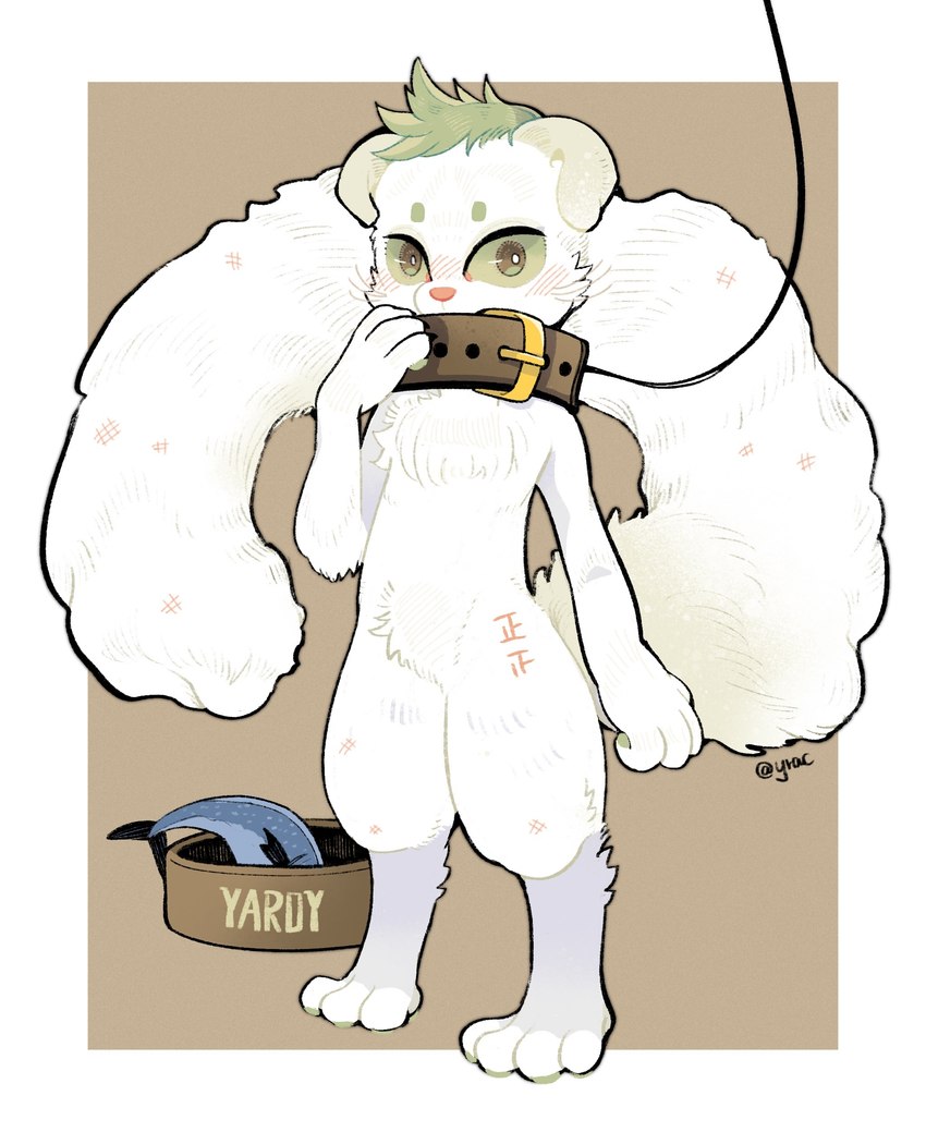 anthro big_collar blush blush_lines border bowl brown_background bruised cheek_tuft chest_tuft collar container crotch_tuft facial_tuft floppy_ears fluffy fluffy_tail food front_view fur green_hair green_sclera hair leash leg_markings long_tail looking_at_viewer lop_ears male markings nude oversized_collar pet_bowl pink_nose simple_background socks_(marking) solo standing tail thick_thighs tuft whiskers white_body white_border white_fur yrac yardy felid feline fish mammal marine 2020 absurd_res character_name full-length_portrait hi_res portrait