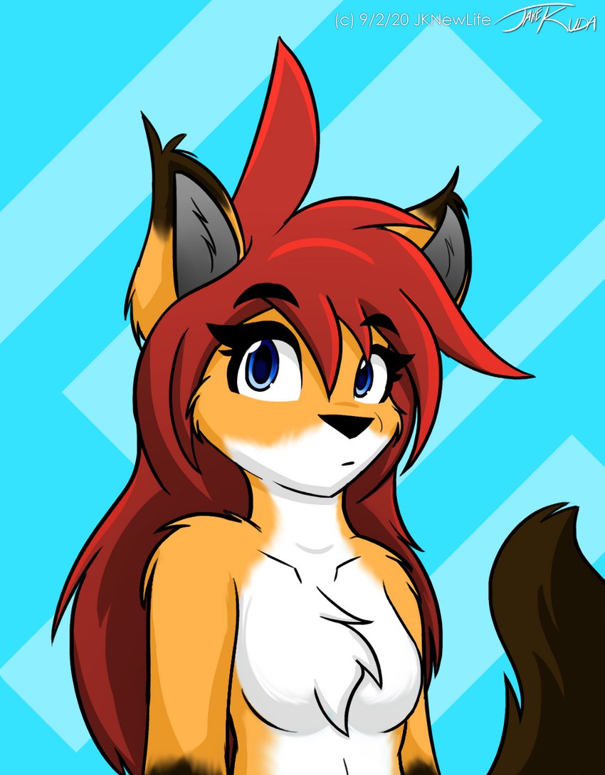 anthro breasts featureless_breasts female hair solo jknewlife sara_aria canid canine fox mammal hi_res