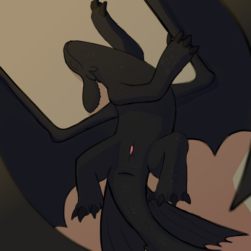 toothless (how to train your dragon and etc)