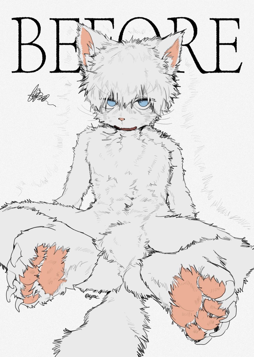 4_toes anthro biped blue_eyes claws crotch_tuft featureless_crotch feet front_view fur hair hindpaw kemono male null pawpads paws pink_pawpads plantigrade reclining simple_background sitting solo spread_legs spreading tail toe_claws toes tuft white_background white_body white_fur white_hair young young_anthro young_male yrac domestic_cat felid feline felis mammal absurd_res hi_res