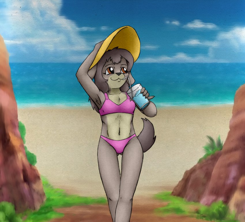 anthro beverage bikini biped black_nose blue_bikini blue_clothing blue_swimwear brown_eyes claws clothed clothing countershade_face countershade_torso countershading drinking eyebrows female floppy_ears front_view grey_body grey_hair hair hat headgear headwear holding_beverage holding_object long_hair looking_aside midriff multicolored_body navel solo standing sun_hat swimwear tan_body two-piece_swimsuit two_tone_body young young_anthro animew biske_linu_(animew) canid canine canis domestic_dog mammal 2023 hi_res