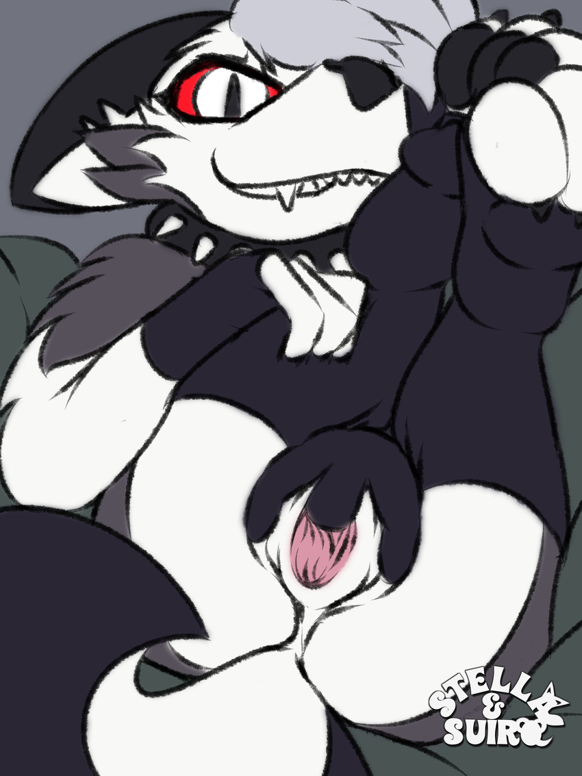 anthro bedding bedding_background big_ears big_tail black_body black_claws black_collar black_ears black_fur black_nose black_pawpads black_tail cheek_tuft claws clothing collar countershading facial_tuft fangs feet female fingering fur genitals grey_body grey_fur grin grinning_at_viewer humanoid_genitalia humanoid_vulva legs_up legwear looking_at_viewer lying masturbation mohawk multicolored_body multicolored_fur on_back pawpads paws presenting presenting_vulva red_sclera smile smiling_at_viewer solo spiked_collar spikes spread_vulva spreading stockings tail teeth thigh_highs tuft two_tone_body two_tone_fur vaginal vaginal_fingering vaginal_masturbation vulva white_body white_countershading white_eyes white_fur white_inner_ear white_tail white_vulva suiro hellaverse helluva_boss mythology loona_(helluva_boss) canid canid_demon canine demon hellhound mammal mythological_canine mythological_creature 3:4 absurd_res hi_res
