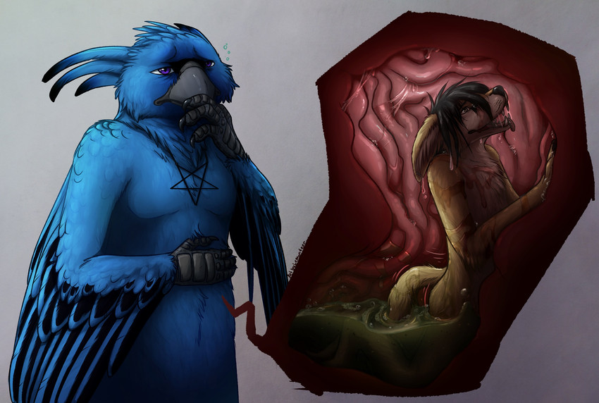 4_fingers anthro arm_feathers barefoot beak belly_tuft biped black_claws black_hair black_nose blue_body blue_feathers bodily_fluids brown_body brown_fur brown_text cheek_tuft claws cutaway dizzy dry_humping duo extreme_size_difference facial_tuft fangs feather_tuft feathered_wings feathers feet finger_claws fingers fluffy fluffy_tail front_view fur fur_tuft grey_background grey_beak hair hair_over_eye half-closed_eyes hand_on_belly hand_on_mouth head_tuft ill inner_ear_fluff inside_stomach internal jewelry kneeling larger_male looking_away looking_up male male/male male_pred male_prey motion_lines narrowed_eyes nausea necklace nude occult_symbol one_eye_obstructed open_mouth open_smile oral_vore organs partially_submerged paws pentagram purple_eyes scuted_arms scutes short_hair side_view simple_background size_difference smaller_male smile standing stomach stomach_acid symbol tail tan_body tan_fur teeth text three-quarter_view thrust thrusting tongue tongue_out tuft vore wet wings lemondeer aevery_(aevery) cane_mckeyton avian bird canid canine cardinal_(bird) fennec_fox fox indigo_bunting mammal oscine passerina passerine true_fox 2020 digital_drawing_(artwork) digital_media_(artwork) hi_res signature