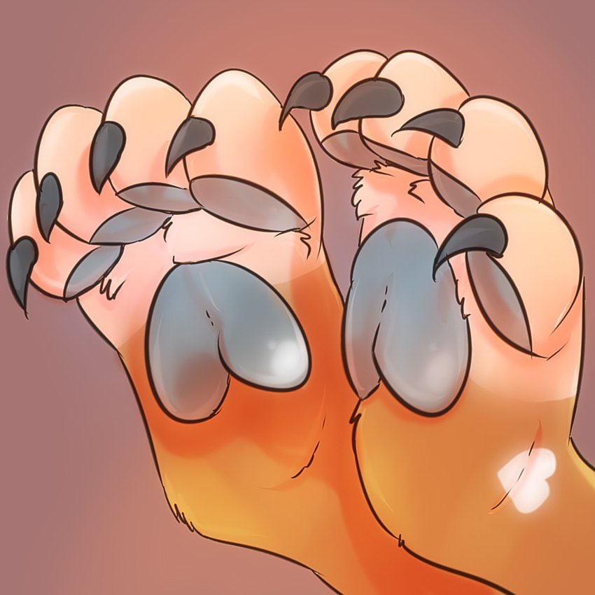 4_toes blue_claws blue_pawpads brown_background claws feet foot_focus foot_shot fur heart_(marking) heart_symbol light markings orange_body orange_fur pawpads simple_background solo toes pawsitively bear mammal 1:1 lighting