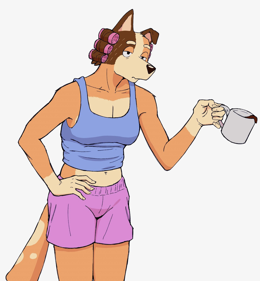 5_fingers anthro arm_tuft arms_bent bare_shoulders beverage biped black_eyes black_nose blue_clothing blue_shirt blue_tank_top blue_topwear bottomwear breasts brown_body brown_ears brown_fur cleavage clothed clothed_anthro clothed_female clothing coffee coffee_mug collarbone colored_fingernails colored_nails container countershade_fur countershade_torso countershading cup curved_eyebrows eyebrows female fingernails fingers fur fur_tuft glistening glistening_nose gloves_(marking) grey_background hair_curlers half-closed_eyes hand_on_hip hand_on_own_hip head_tuft holding_coffee_mug holding_container holding_cup holding_mug holding_object humanoid_hands iris legs_together light_body light_fur light_markings looking_forward markings mature_anthro mature_female medium_breasts midriff monotone_background mouth_closed mug multicolored_body multicolored_fur multicolored_tail nails narrowed_eyes navel no_pupils one_ear_up orange_body orange_fur orange_tail pink_inner_ear purple_bottomwear purple_clothing purple_shorts shirt shorts shoulder_tuft simple_background snout solo spilling spilling_coffee spilling_drink spots spotted_markings spotted_tail standing tail tail_markings tank_top tear_trough thick_neck thick_thighs three-quarter_view tired topwear tuft two_tone_tail white_body white_countershading white_eyebrows white_fingernails white_fur white_markings white_nails white_sclera white_spots white_tail xthe_real_cjx bluey_(series) chilli_heeler australian_cattle_dog canid canine canis cattledog domestic_dog herding_dog mammal pastoral_dog 2024 digital_drawing_(artwork) digital_media_(artwork) english_description hi_res portrait three-quarter_portrait