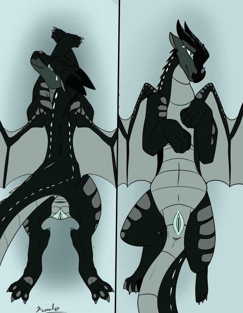 anus claws female feral genitals horn paws pussy solo spikes spread_wings tail wings kiumba_(artist) mythology wings_of_fire moonwatcher_(wof) dragon mythological_creature mythological_scalie nightwing_(wof) scalie hi_res