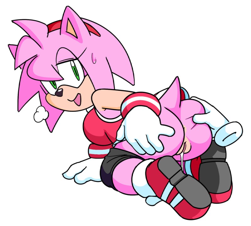 amy rose (sonic the hedgehog (series) and etc) created by watatanza