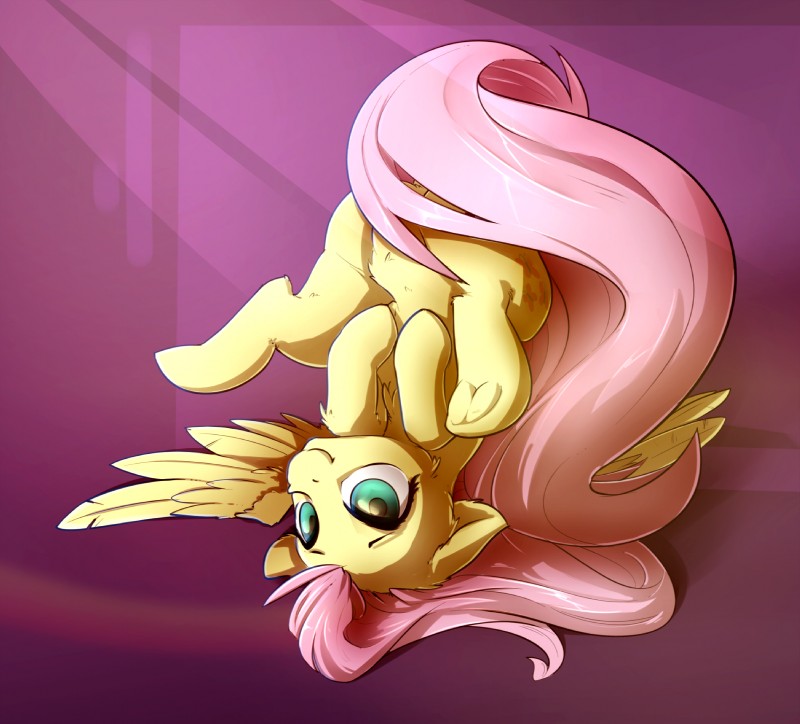 fluttershy (friendship is magic and etc) created by eto ya