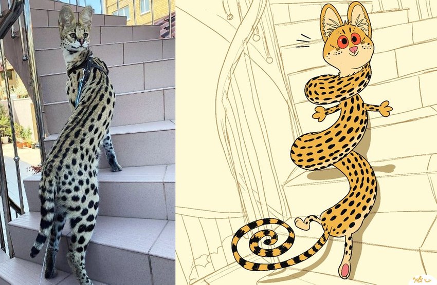 ambiguous_gender collar comparison fur leash markings photo real red_eyes red_sclera solo spiral spots spotted_body spotted_fur twist twisted keke_(artist) felid feline mammal serval