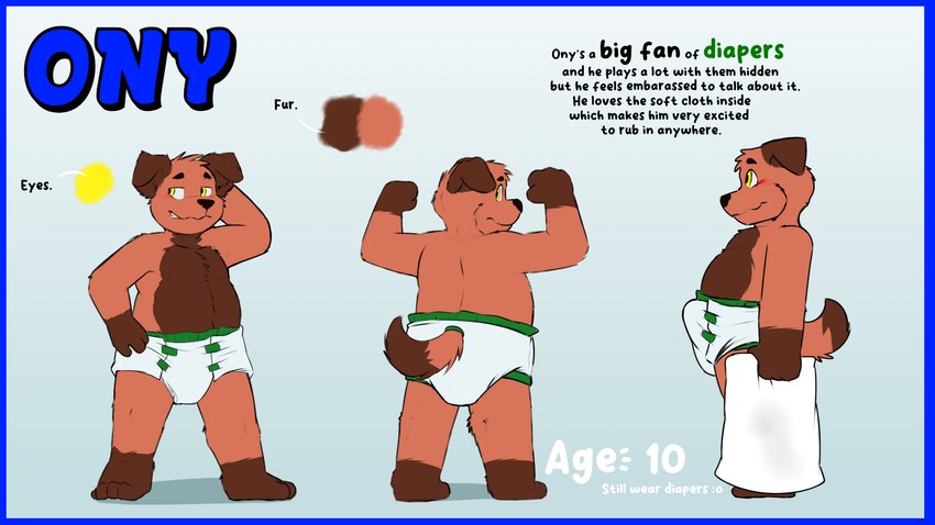 anthro belly blue_border blush border bulge clothed clothing diaper diaper_fetish diaper_use male pillow presenting solo text wearing_diaper young onykr ony canid canine canis domestic_dog mammal 16:9 english_text hi_res model_sheet widescreen