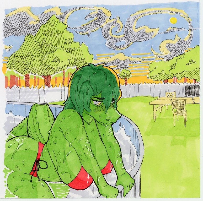 anthro big_breasts big_butt bikini biped blush breasts butt clothing dripping_wet female fence folding_chair folding_table frown green_body green_hair green_scales grey_eyes grill hair laces looking_at_viewer medium_hair nipple_outline non-mammal_breasts outside pool red_bikini red_bikini_bottom red_bikini_top red_clothing red_swimwear scales slightly_chubby solo swimwear thick_thighs two-piece_swimsuit wet wet_hair yellow_sclera realius cavemanon_studios i_wani_hug_that_gator olivia_halford alligator alligatorid baryonyx crocodilian dinosaur prehistoric_species reptile scalie spinosaurid theropod hi_res marker_(artwork) pen_(artwork) traditional_media_(artwork)