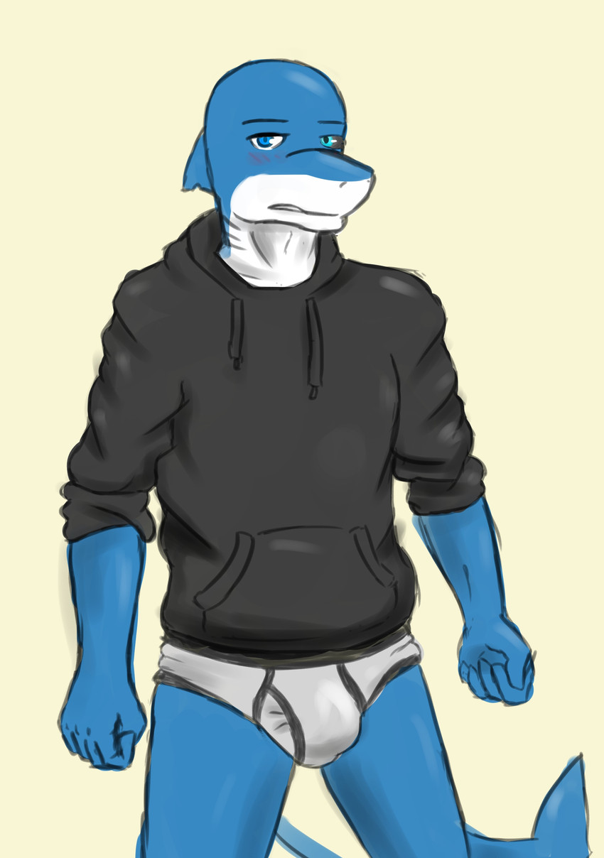 anthro blush briefs clothing fist grey_clothing grey_hoodie grey_topwear heterochromia hoodie hoodie/briefs_meme looking_at_viewer male shark_tail simple_background solo standing tan_background topwear underwear white_briefs white_clothing white_underwear krahs_tsai krahs_(krahs_tsai) fish marine shark absurd_res hi_res meme