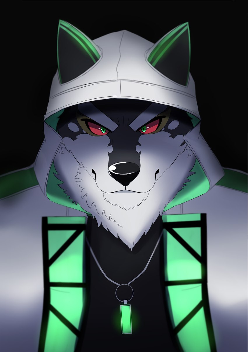 anthro black_body black_fur clothing fur glare green_eyes hoodie jewelry male multicolored_body multicolored_fur necklace red_sclera solo topwear white_body white_fur inugami1837 lifewonders live_a_hero monomasa canid canine canis domestic_dog husky mammal nordic_sled_dog spitz half-length_portrait hi_res portrait