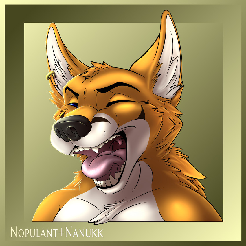 anthro black_nose blue_eyes ear_piercing ear_ring eyebrows eyes_closed fur inner_ear_fluff male open_mouth orange_body orange_fur piercing pink_tongue ring_piercing simple_background solo teeth tongue tuft uvula white_body white_fur white_inner_ear_fluff yawn nanukkluik nopulant alexander_the_fox canid canine fox mammal 1:1 bust_portrait hi_res portrait shaded