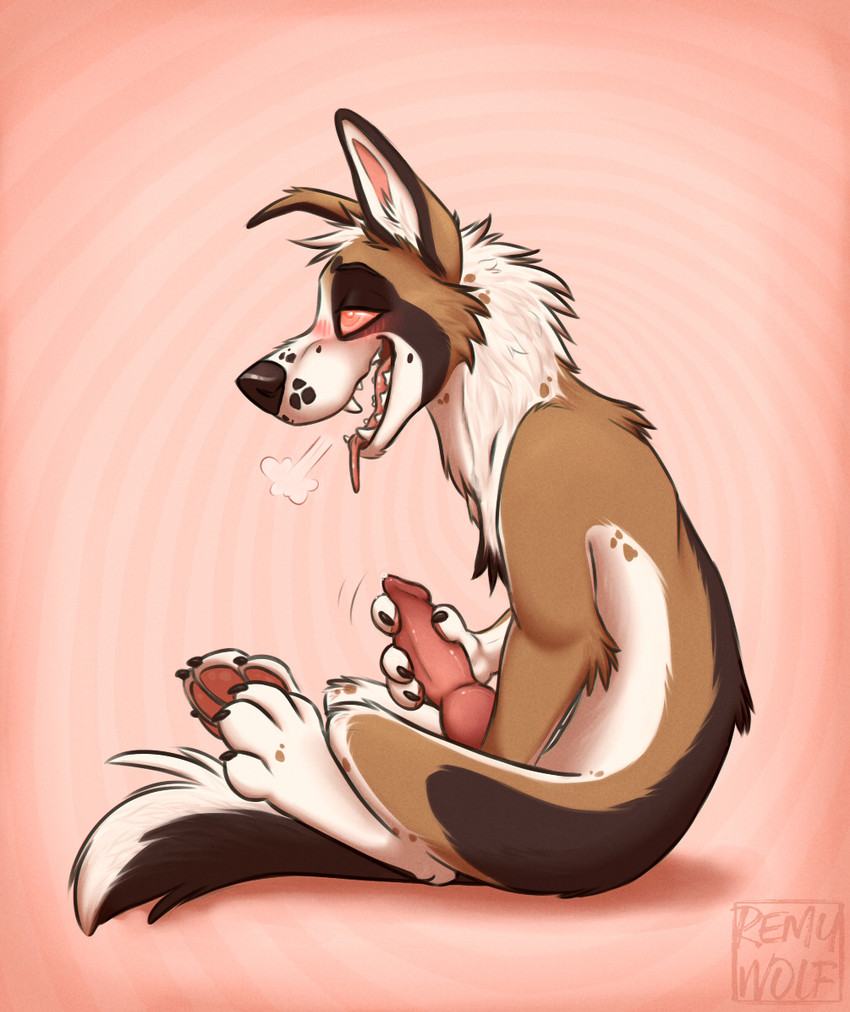 animal_genitalia animal_penis anthro blush breath canine_genitalia canine_penis erection genitals hypnosis knot male masturbation mind_control nude open_mouth pawpads paws penile penile_masturbation penis solo tongue tongue_out remywolf canid canine canis domestic_dog german_shepherd herding_dog mammal pastoral_dog