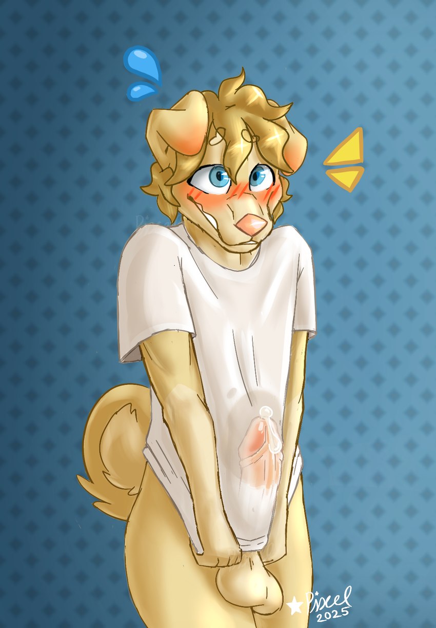 anthro awkward_smile balls blonde_hair blue_eyes blush blushing_profusely bodily_fluids bottomless bottomless_anthro bottomless_male clothed clothing clothing_pull covering covering_self curled_hair curled_tail ear_blush embarrassed erection erection_under_clothing femboy floppy_ears fur genital_fluids genitals hair humanoid_genitalia humanoid_penis male penis pink_nose precum precum_through_clothing shirt simple_background smile solo surprised surprised_expression surprised_face sweatdrop_(iconography) t-shirt tail thick_thighs topwear unwanted_erection wet wet_clothing white_clothing white_shirt white_topwear yellow_body yellow_fur pixxilatedwolf claude_(pixxilatedwolf) bird_dog canid canine canis domestic_dog golden_retriever hunting_dog mammal retriever 2025 colored digital_drawing_(artwork) digital_media_(artwork) hi_res shaded signature