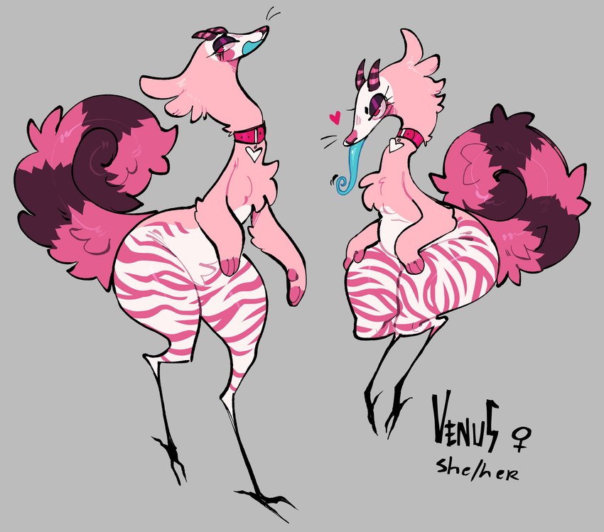 anthro bird_legs blue_tongue chest_tuft collar curled_tail digitigrade eyelashes featureless_crotch female female_symbol fluffy fluffy_tail fur gender_symbol grey_background half-closed_eyes head_tuft heart_symbol horn long_tongue magenta_body magenta_fur markings narrowed_eyes paws pink_body pink_collar pink_eyes pink_fur pronouns simple_background solo standing striped_body striped_horn striped_legs striped_markings striped_tail striped_thighs stripes symbol tail tail_markings tapering_tongue thick_thighs tongue tuft white_body white_fur btascandalist avian bird bovid canid canine caprine chimera fox goat hybrid mammal absurd_res hi_res model_sheet