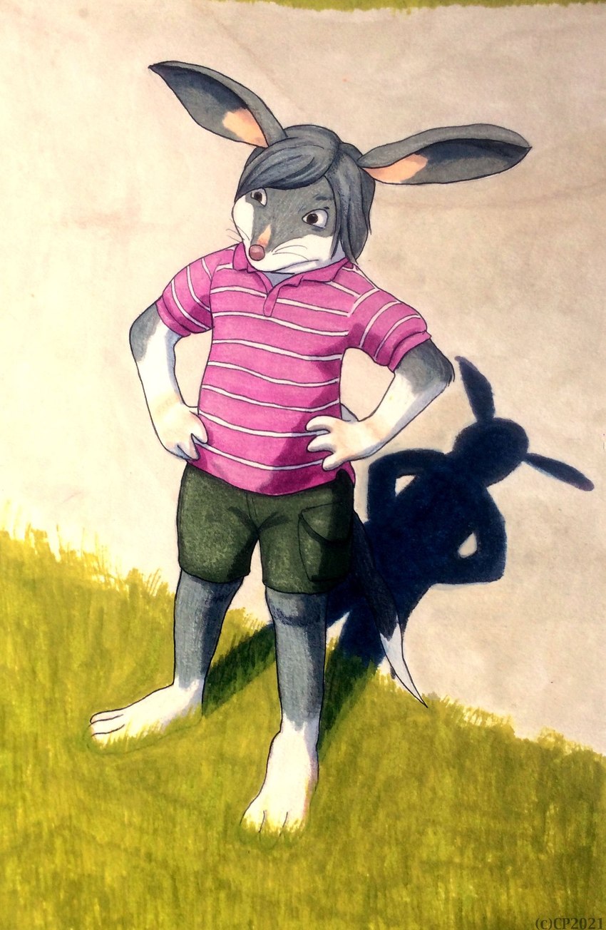 anthro barefoot bottomwear clothed clothing collared_shirt countershading feet fur fur_markings grass hair hands_on_hips looking_ahead male markings multicolored_body multicolored_fur neutral_expression outside pink_nose plant polo_shirt shirt short_hair short_sleeves shorts solo standing tail topwear whiskers young christaphorac bandicoot bilby mammal marsupial 2021 hi_res traditional_media_(artwork) watermark