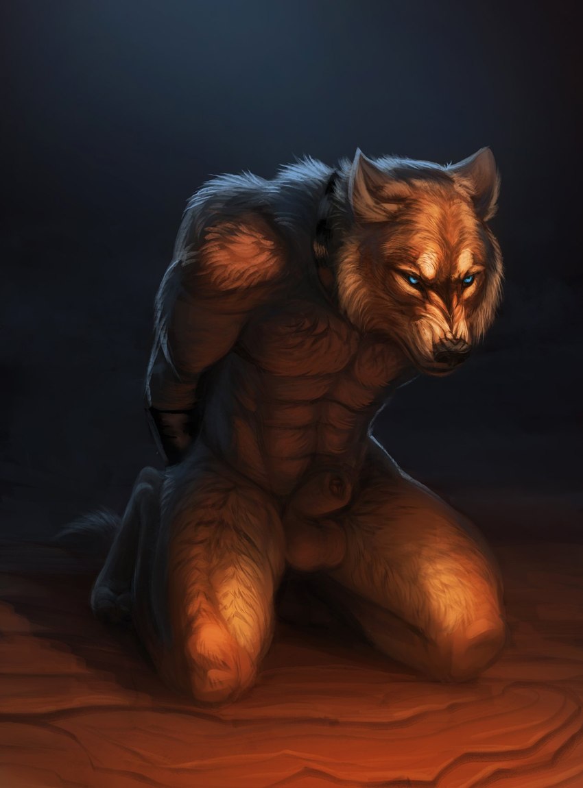 abs animal_genitalia anthro balls biceps biped black_collar black_nose blue_eyes brown_body brown_fur chest_tuft collar ears_back frown fully_sheathed fur genitals hands_behind_back inner_ear_fluff kneeling looking_aside male mouth_closed muscular muscular_anthro muscular_male narrowed_eyes navel nude pecs pivoted_ears realistic realistic_anatomy realistic_fur restrained sheath simple_background snarling solo tuft white_body white_fur hibbary canid canine canis mammal wolf 2018 hi_res