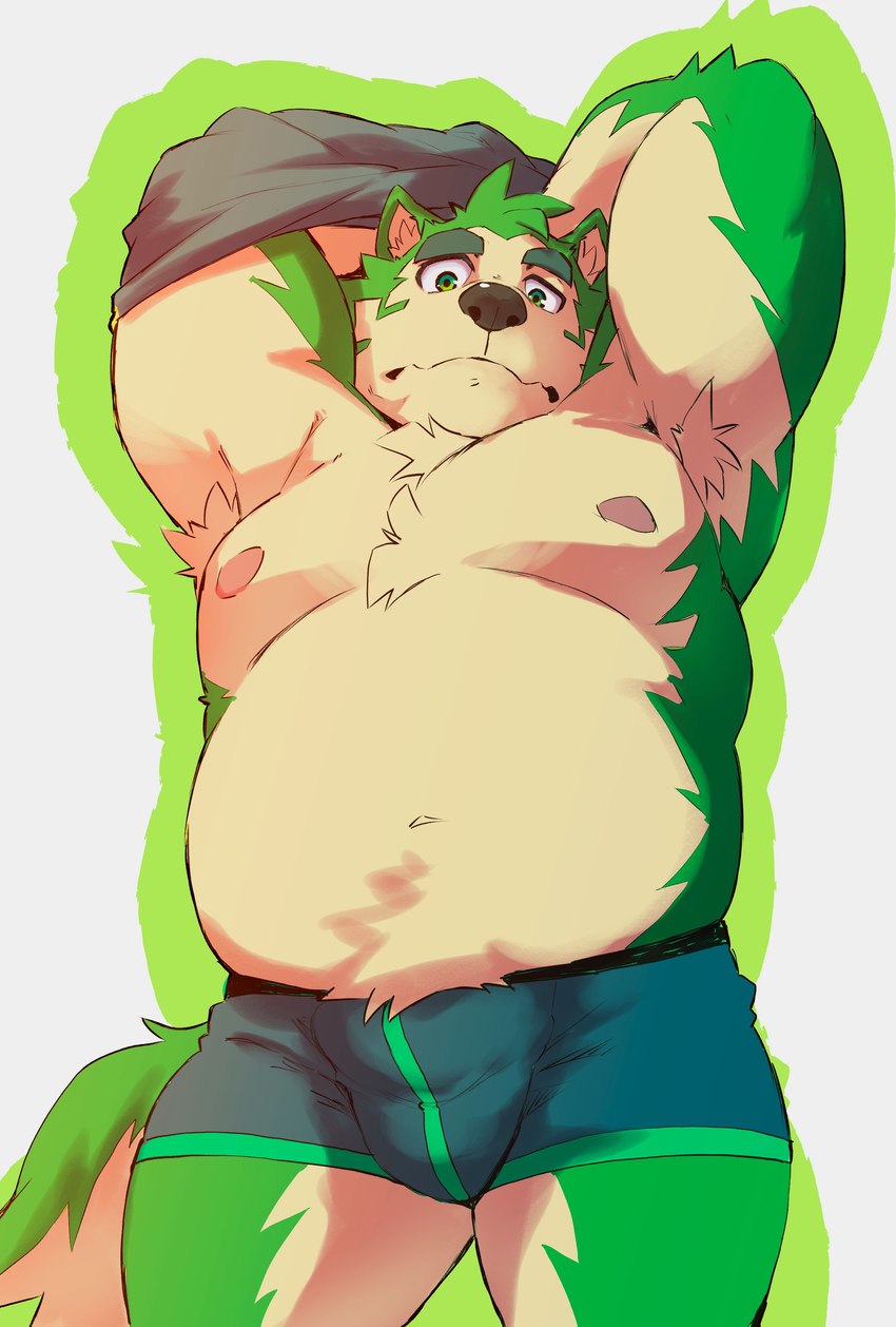 belly black_nose bulge clothing green_body kemono live male moobs nipples overweight overweight_male solo underwear undressing heylaw21 lifewonders live_a_hero mokdai canid canine canis domestic_dog mammal 2023 absurd_res hi_res