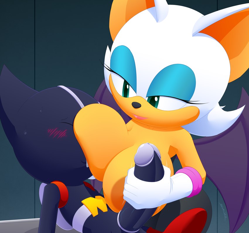 bokkun and rouge the bat (sonic the hedgehog (series) and etc) created by slickehedge