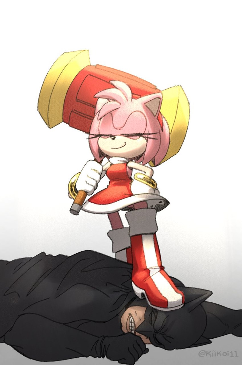 amy rose and batman (sonic the hedgehog (series) and etc) created by kiikoi11