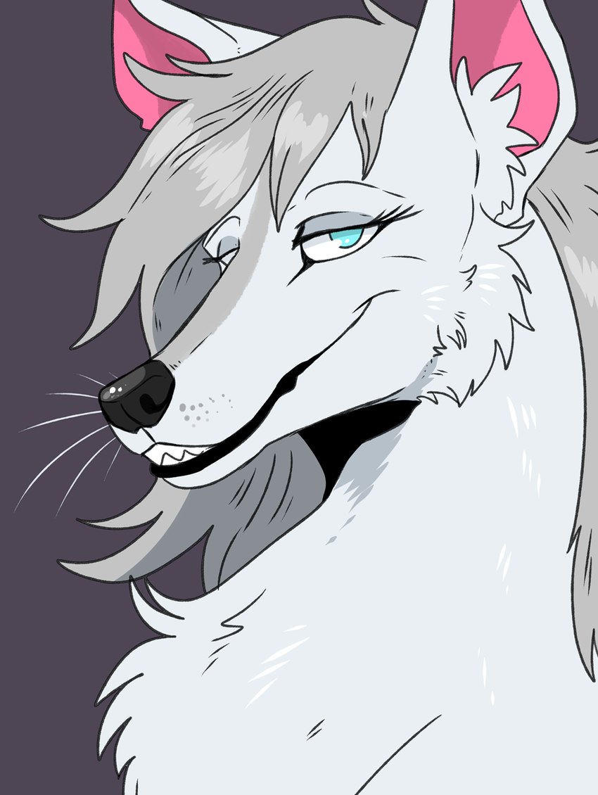 ambiguous_form black_nose black_tongue blue_eyes cheek_tuft chest_tuft facial_tuft female fur grey_hair grin hair looking_at_viewer narrowed_eyes no_pupils purple_background simple_background smile solo teeth tongue tuft whiskers white_body white_fur imperatorcaesar species_request hi_res