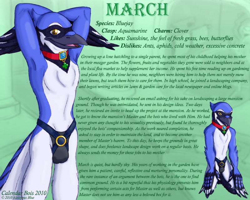 anthro beak black_beak calendar clothed clothing collar crossdressing feathers femboy harem_boy looking_at_viewer male march_(month) slave solo text underwear aloisyous_blue calendar_bois avian bird blue_jay corvid jay_(bird) new_world_jay oscine passerine 5:4 english_text story