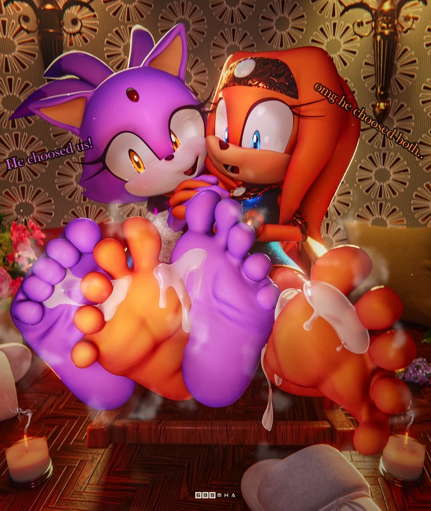 blaze the cat and tikal the echidna (sonic the hedgehog (series) and etc) created by 699mha