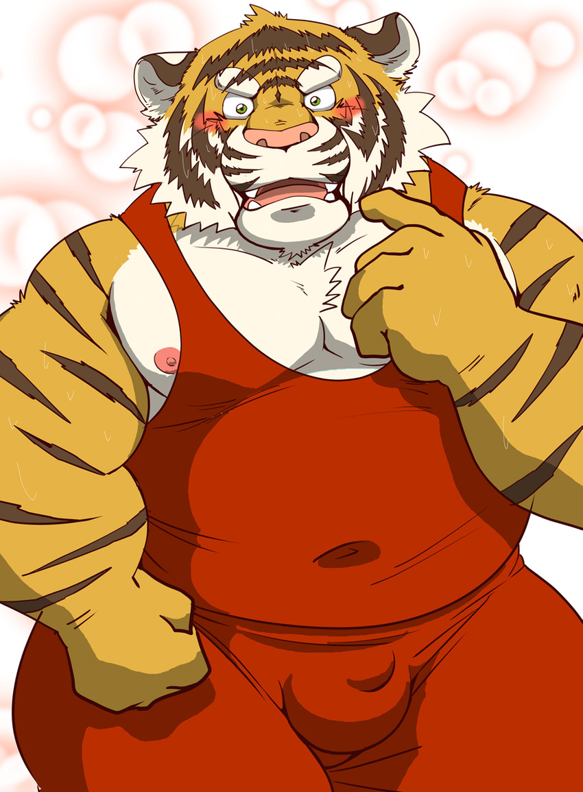 anthro balls_outline belly blush bulge detailed_bulge genital_outline humanoid_hands kemono male moobs nipples overweight overweight_anthro overweight_male pink_nose solo wrestling_singlet raichoclub felid mammal pantherine tiger 2019