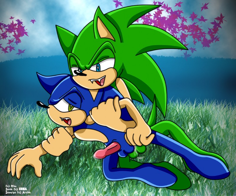 scourge the hedgehog and sonic the hedgehog (sonic the hedgehog (archie) and etc)