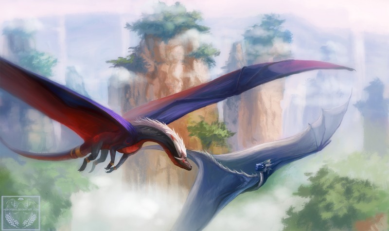 day detailed_background duo feral hair horn membrane_(anatomy) membranous_wings outside tail white_hair wings neboveria european_mythology mythology minerea_(pinkdragonlove) videri dragon mythological_creature mythological_scalie scalie western_dragon wyvern 2014 digital_media_(artwork) hi_res