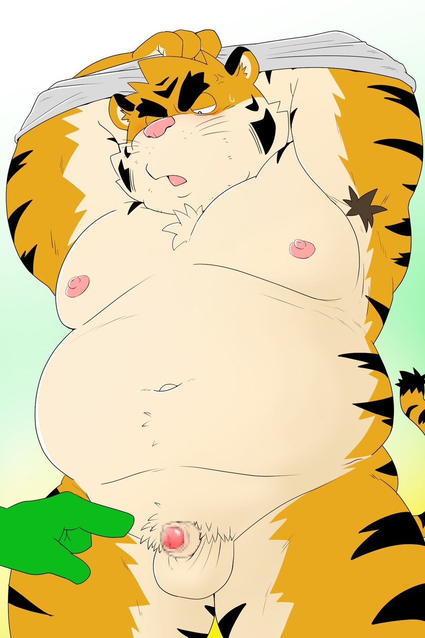 anthro balls belly big_belly clothed clothing clothing_lift duo genitals kemono male micropenis moobs navel nipples overweight overweight_male penis pink_nose shirt shirt_lift small_penis solo_focus topwear undressing shibatanukiti felid mammal pantherine tiger 2024 censored hi_res