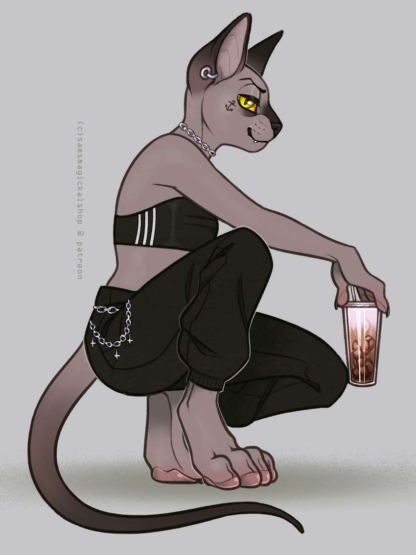 anchor_tattoo anthro beverage bottomwear bra chain_collar clothing collar crouching digitigrade female holding_beverage holding_object pants simple_background solo tattoo underwear samaella domestic_cat felid feline felis mammal 2021 absurd_res hi_res