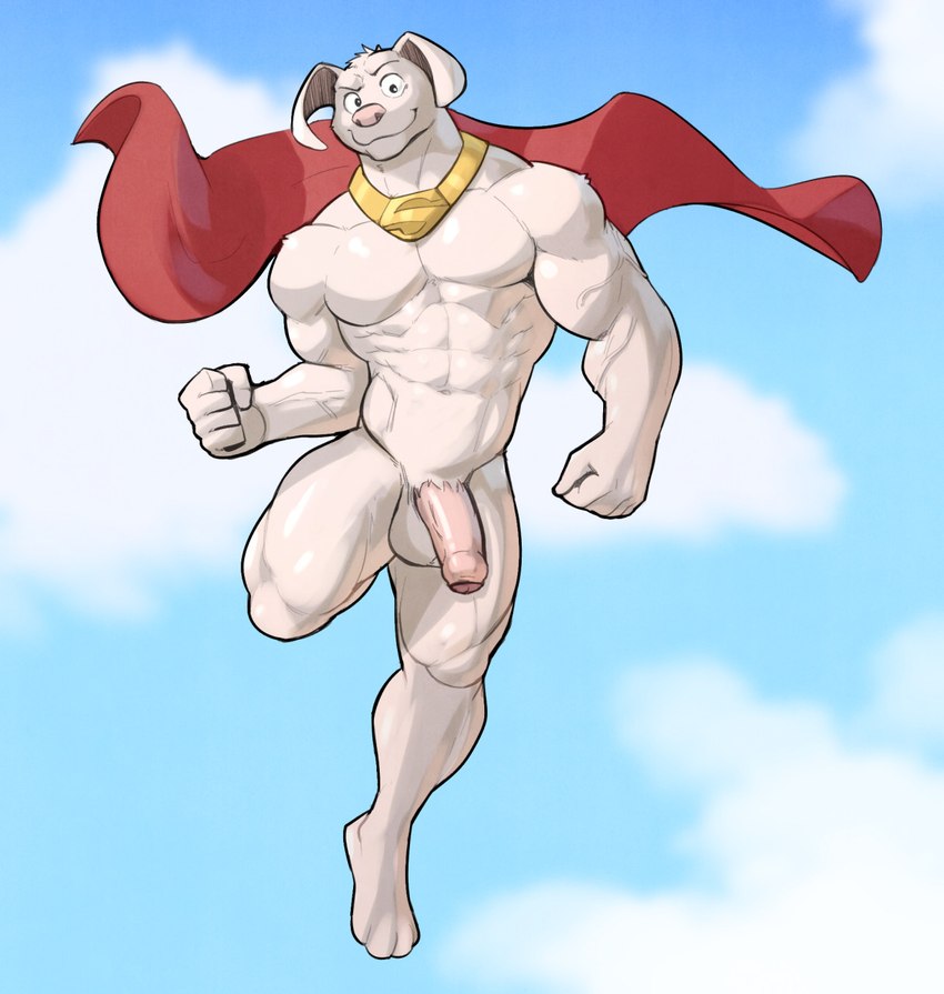 abs anthro anthrofied barazoku barefoot belt bent_leg biceps big_muscles cape cape_only clothing cloud collar day eyebrows feet flying foreskin fur genitals humanoid_genitalia humanoid_penis looking_at_viewer male mostly_nude muscular muscular_anthro muscular_male navel nude obliques pecs penis quads sky skyscape smile solo superhero superpowers swimwear tuft vein veiny_muscles jrjresq dc_comics krypto_the_superdog krypto canid canine canis domestic_dog mammal 2022 hi_res