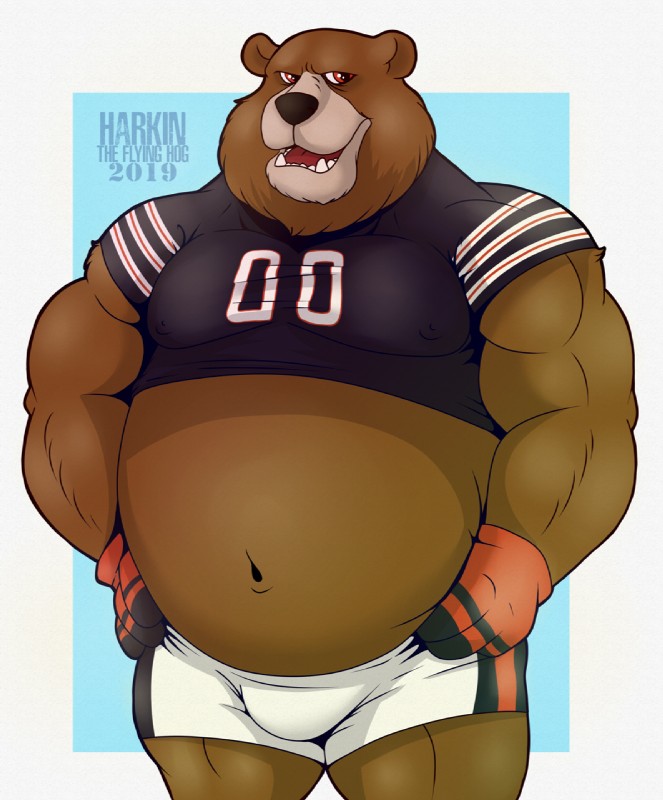 belly bottomwear bulge clothing male shorts solo harkin_theflyinghog bear mammal hi_res