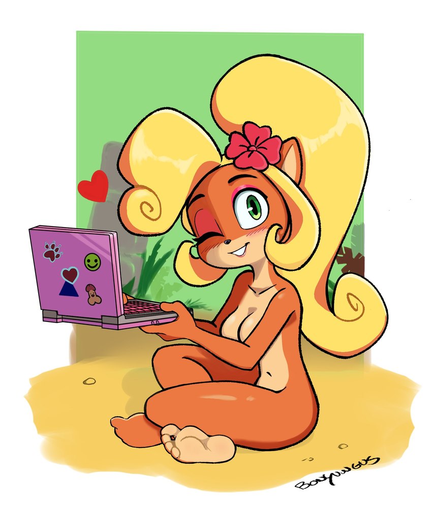 anthro barefoot breasts computer disembodied_penis electronics feet female genitals heart_reaction heart_symbol heart_wink humanoid_feet laptop looking_at_viewer male nude one_eye_closed penis plantigrade soles solo wink bonyungus activision crash_bandicoot_(series) coco_bandicoot bandicoot mammal marsupial hi_res