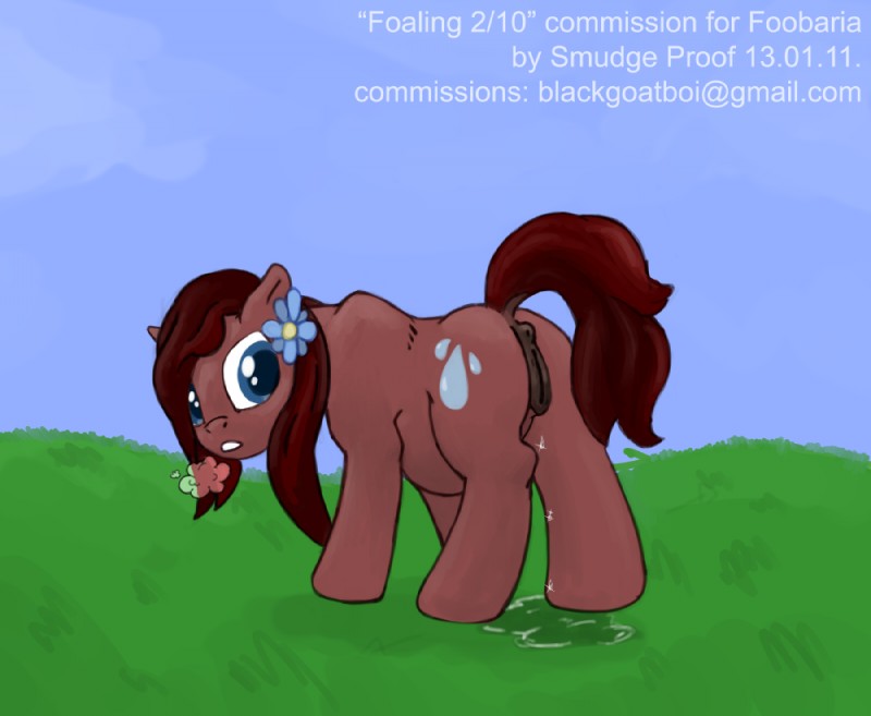 fan character (my little pony and etc) created by raindancer and smudge proof