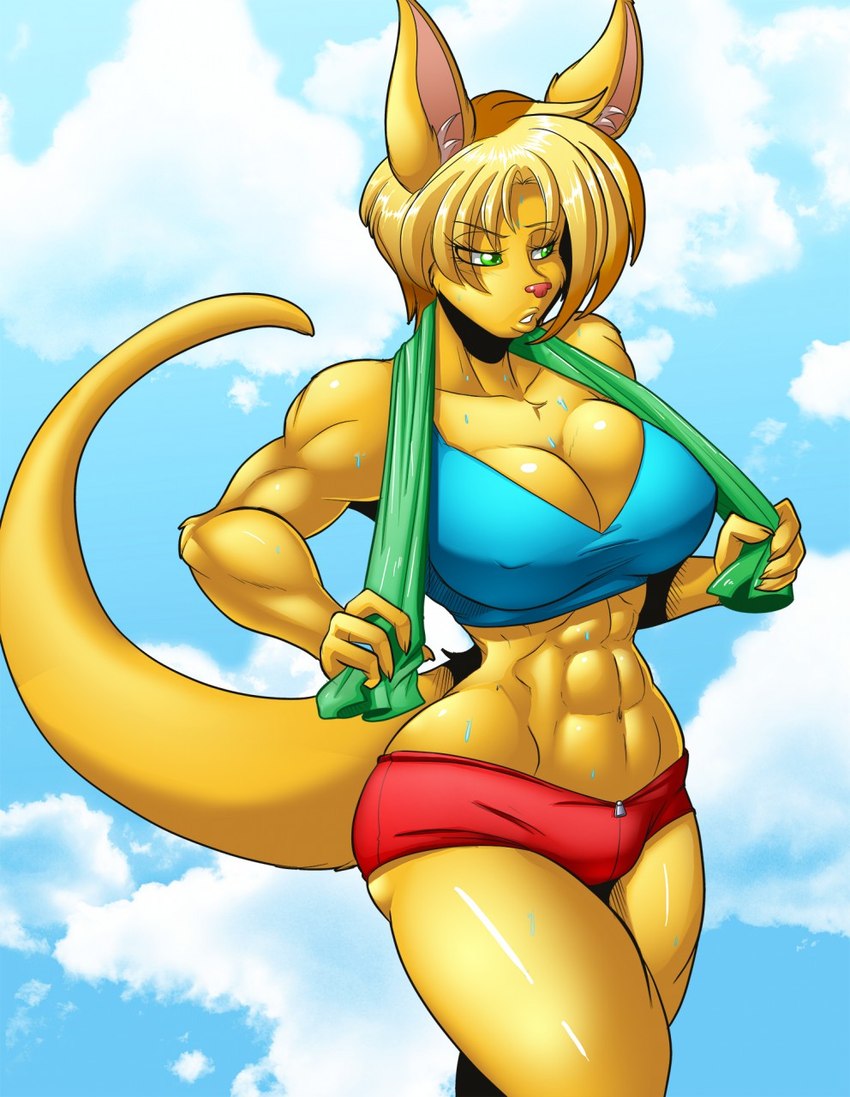 abs anthro big_breasts bodily_fluids breasts female fur muscular muscular_female solo sportswear sweat towel towel_around_neck yellow_body yellow_fur avencri becka_(dtripper) kangaroo macropod mammal marsupial hi_res