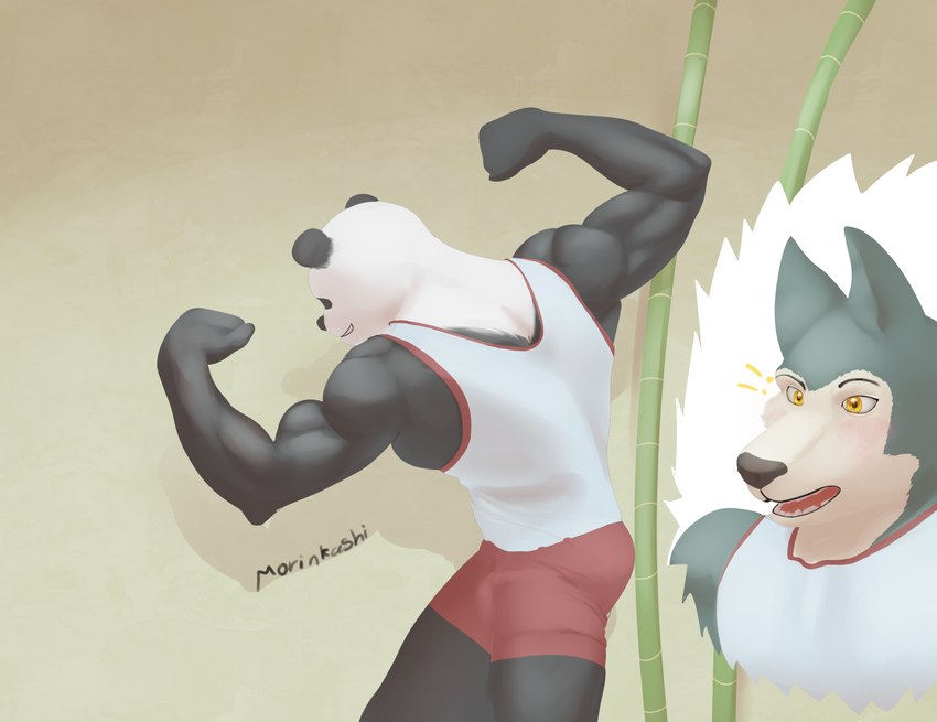 anthro athletic athletic_anthro athletic_male biceps clothed clothing duo flexing fur grey_body grey_fur male muscular muscular_anthro muscular_male simple_background wrestling morinkashi beastars gouhin_(beastars) legoshi_(beastars) bear canid canine canis giant_panda mammal wolf digital_media_(artwork) hi_res